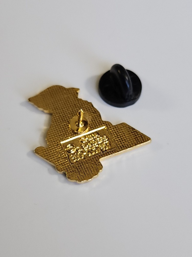 Cardinals Pride Lapel Pin