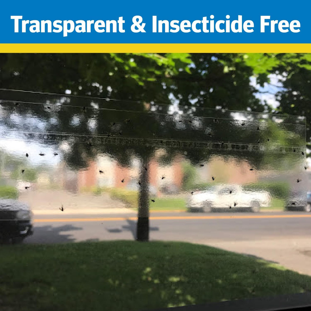 Window Fly Trap, 4 Count (12-Pack)