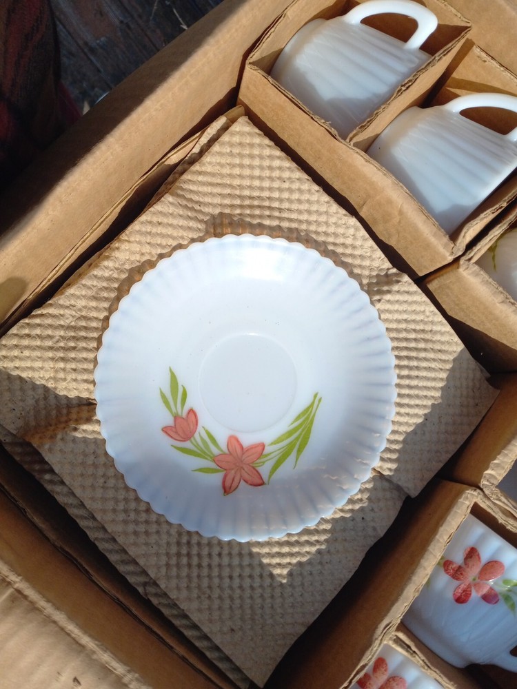 MacBeth-Evans ~ Monax Petalware ~ 15 Piece Set ~ Florette Dinnerware New In Box