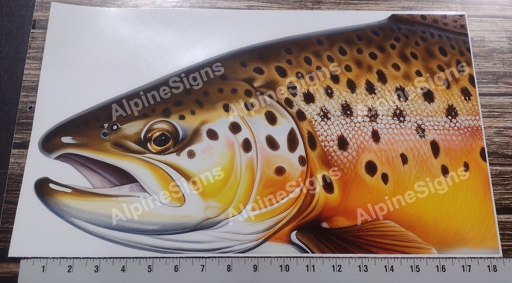 Brown Trout sticker wrap cover graphics for mailbox