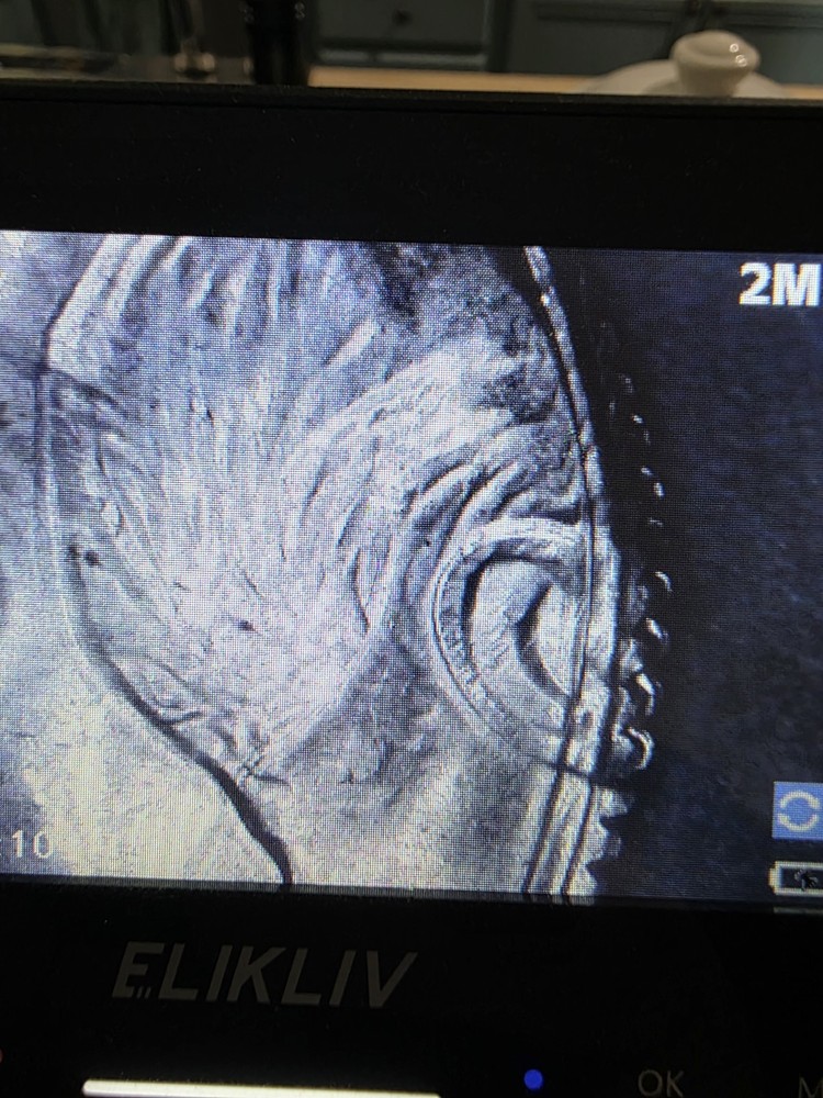 Rare 2018 Double Strick Dime Both Sides