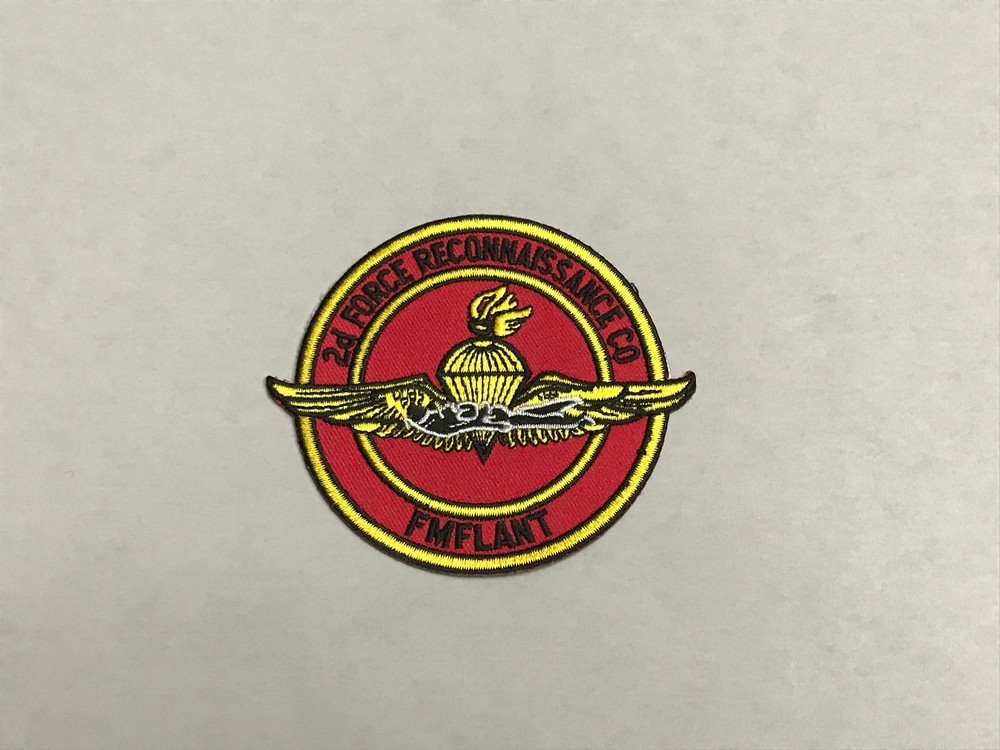 2d Force Reconnaissance Co patch, FMFLANT patch, patch with wings, military