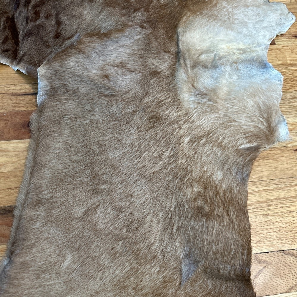African Antelope Partial Hide (Back Half) – (Left Front) Tanned