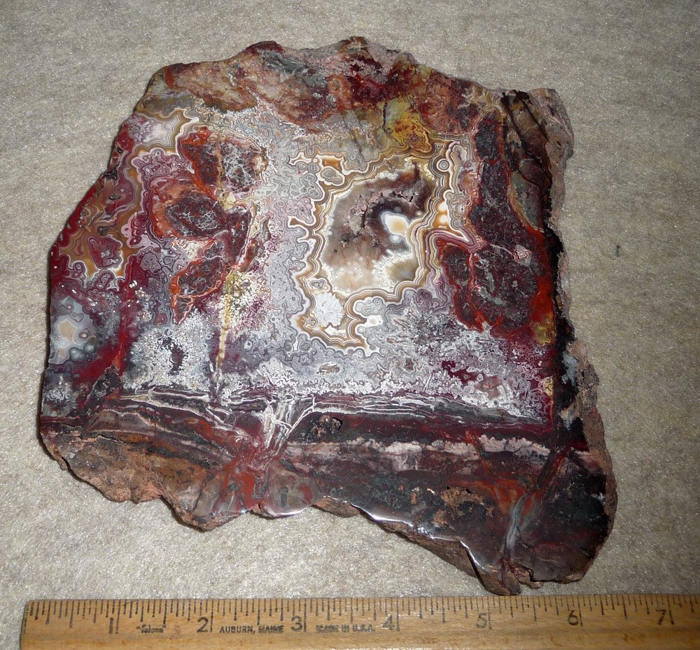 Polished Crazy Lace slab Display Piece