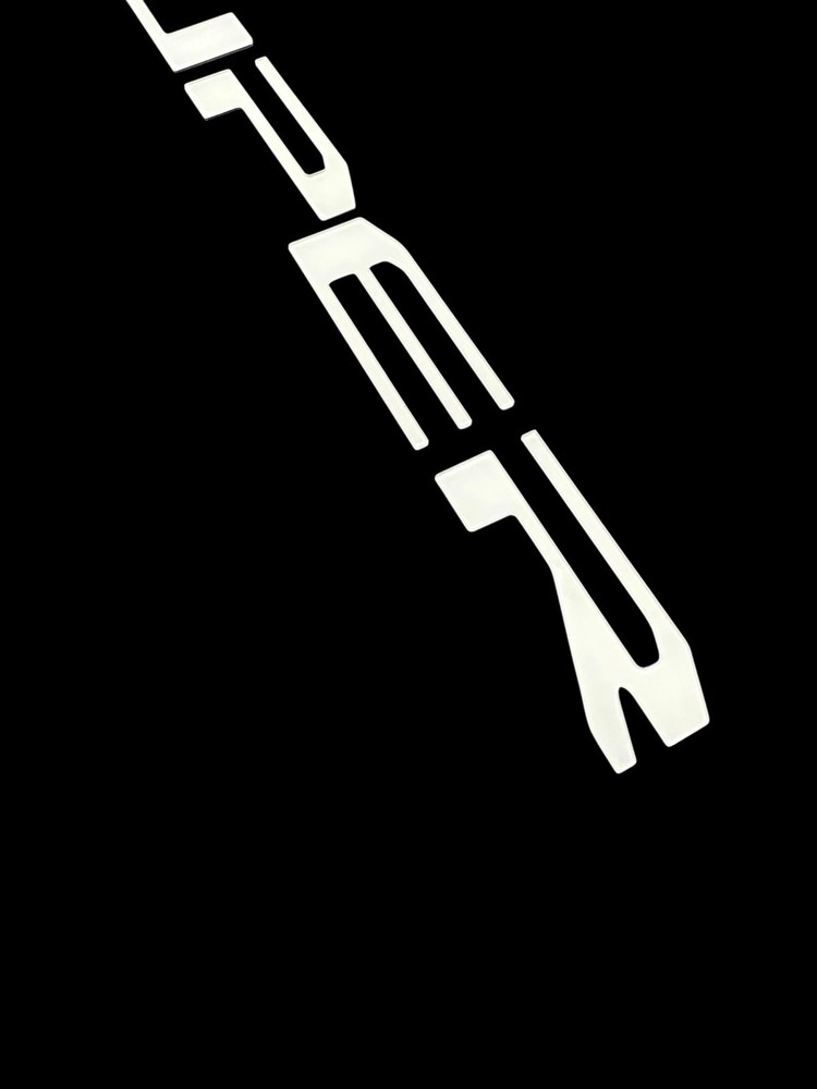 White Tailgate Insert Letters For 2025 Ford Super Duty Platinum