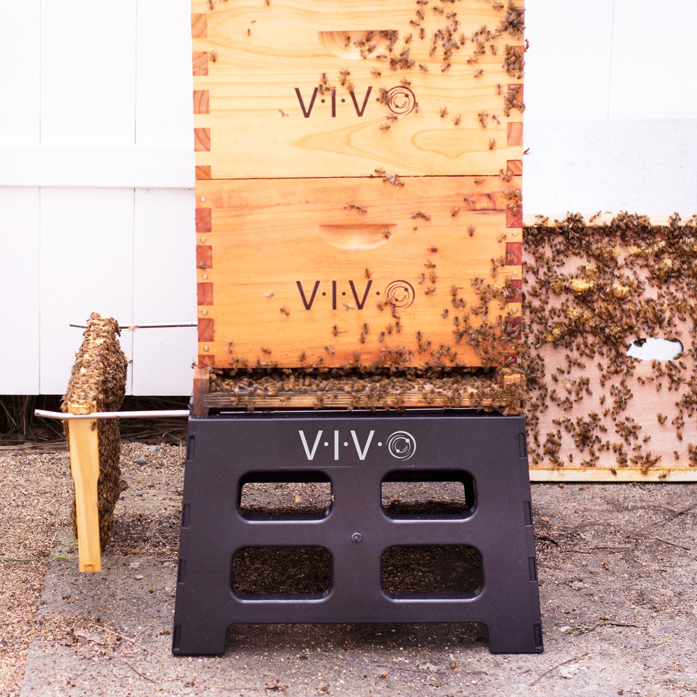 VIVO Black Plastic Bee Hive Stand | Beekeeping Hive Support Tool