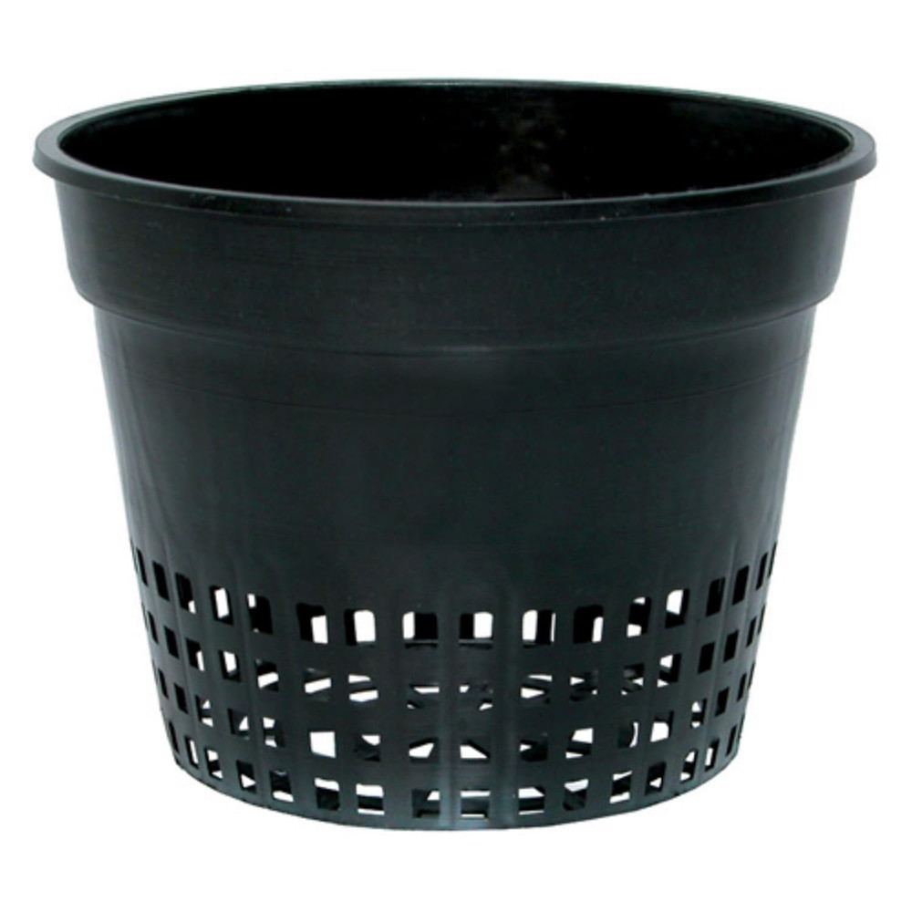 Net Cup, 6-Inch, Bag of 50