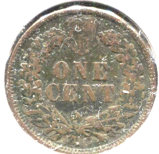 1895 1C BN Indian Cent