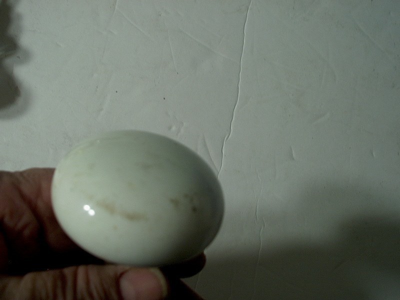 3 ANTIQUE SETS OF DOORKNOBS