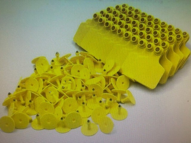 Cattle  Ear Tags, blank , 25 total, yellow