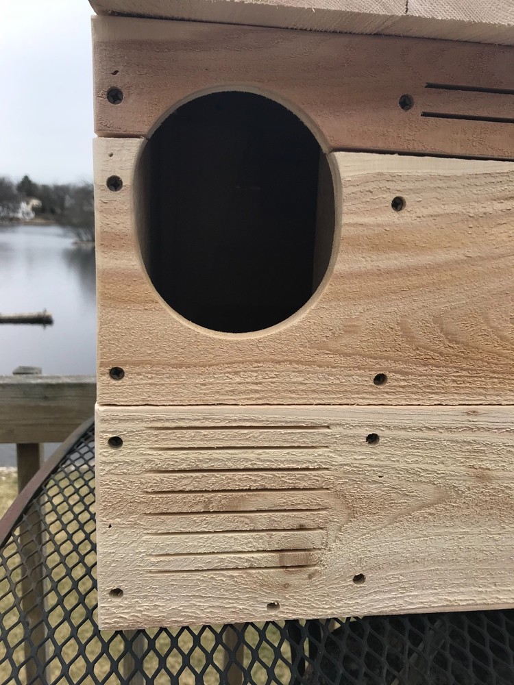 Barn Owl 3/4" Solid Cedar Owl House Nesting Box Nest Home Barred Great Horned!!