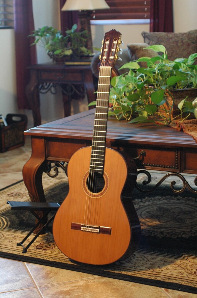 Make Your Own Rodriguez Guitar-Online Apprentice  Guitar Making Course CDROM