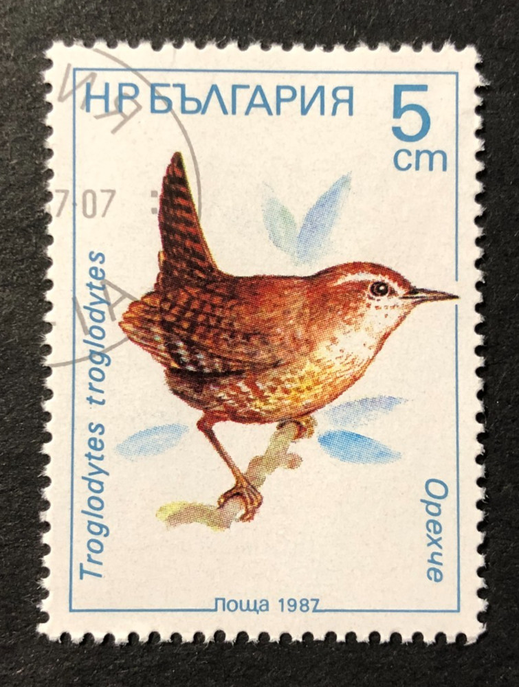 Bulgaria - Scott #3281 Used Postage Stamp