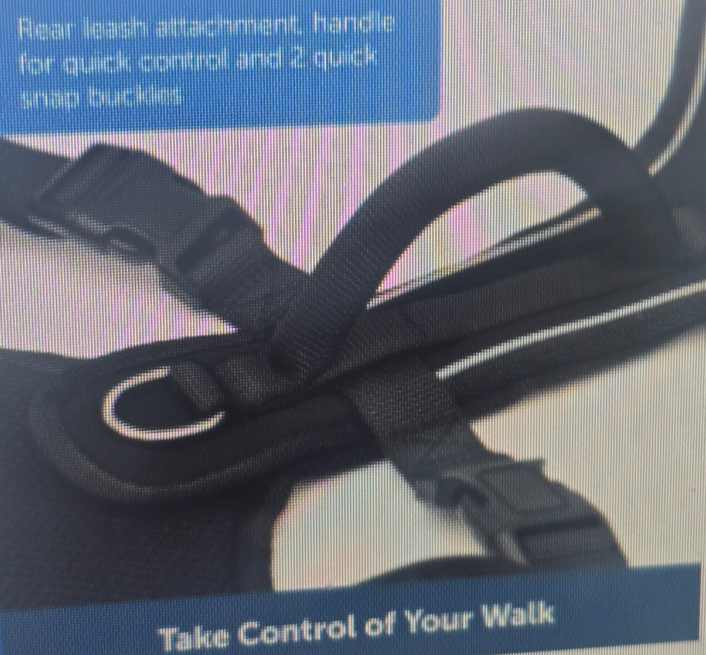 PetSafe EasySport Blue Dog Harness Size M /5
