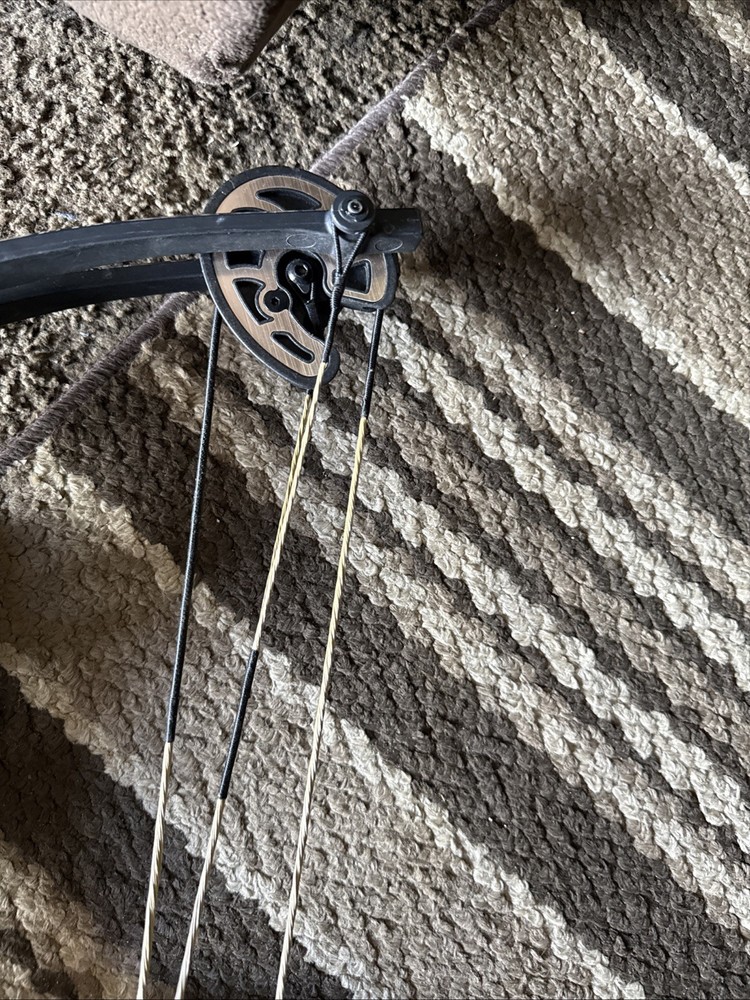 compound bow right hand used