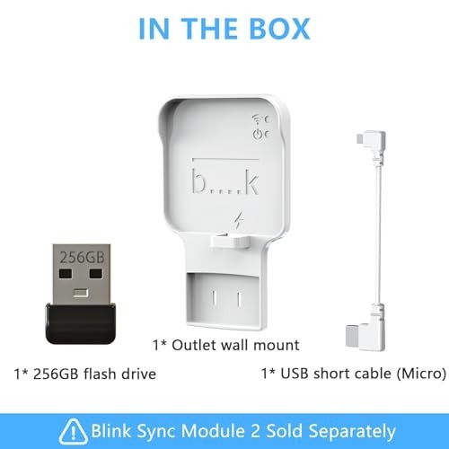 256GB USB Flash Drive with Wall Mount for Blink Security System - Space-Saving H