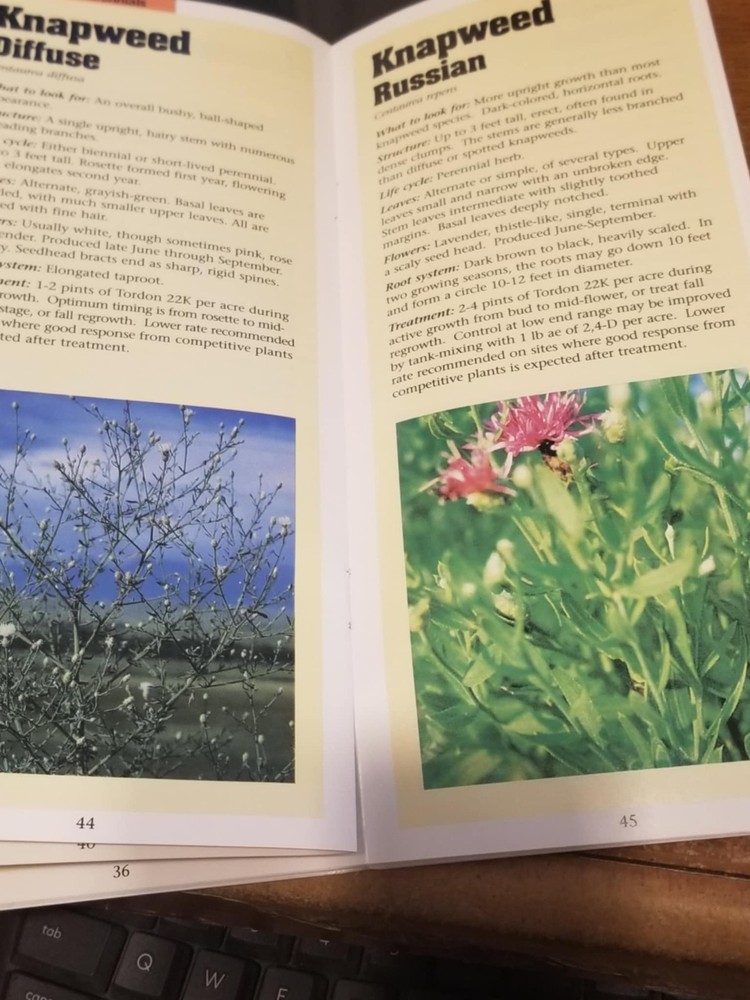 Comprehensive Dow range and pasture weed identification guide 78 Weeds w Picture