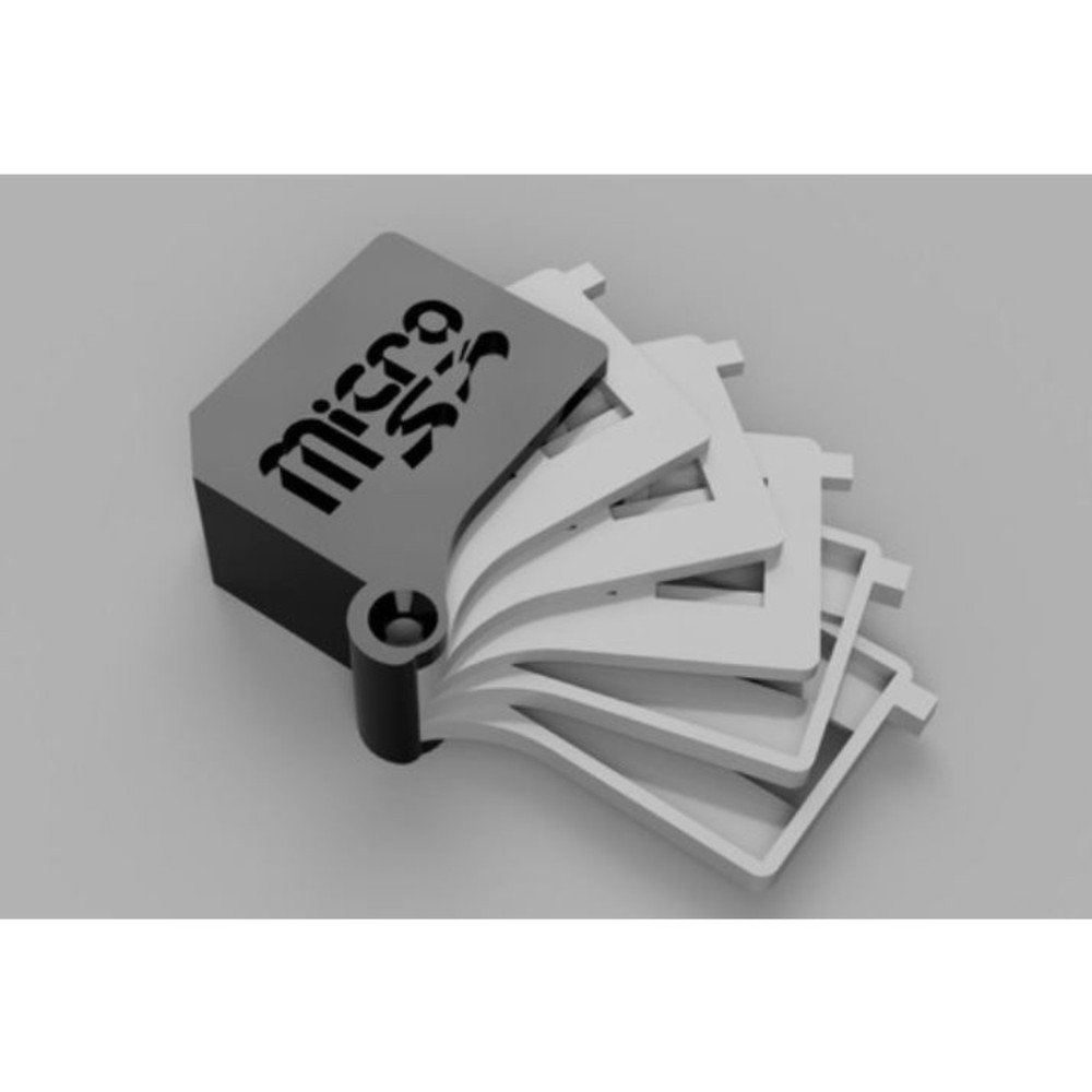 SD Card & micro SD Card carrying storage Box