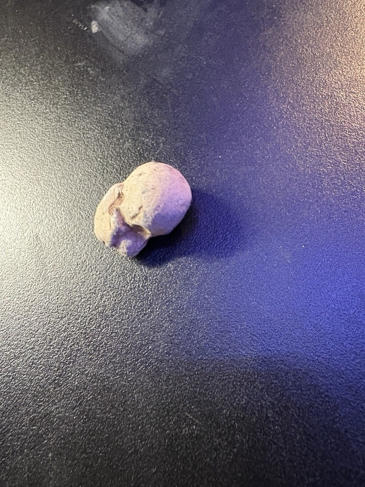 Dug Civil War Relic