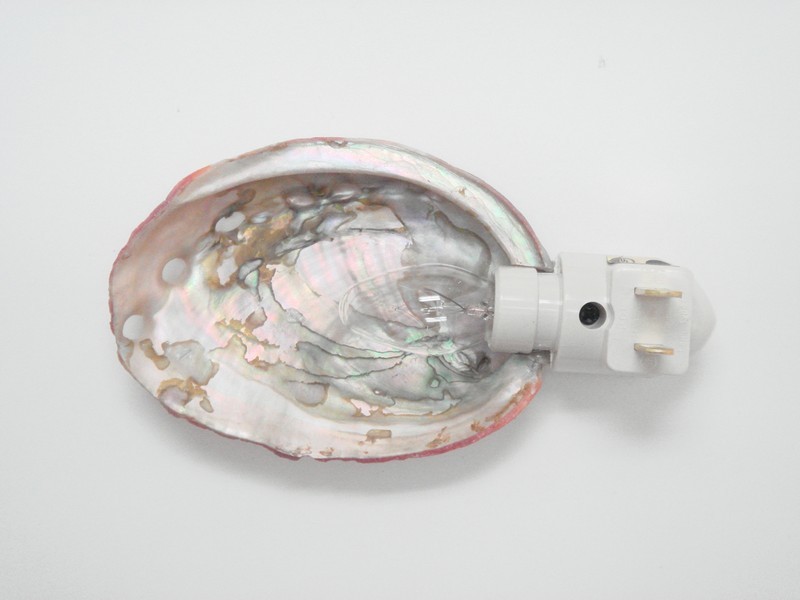 RED ABALONE SEA SHELL NIGHTLIGHT BATHROOM KITCHEN #7119