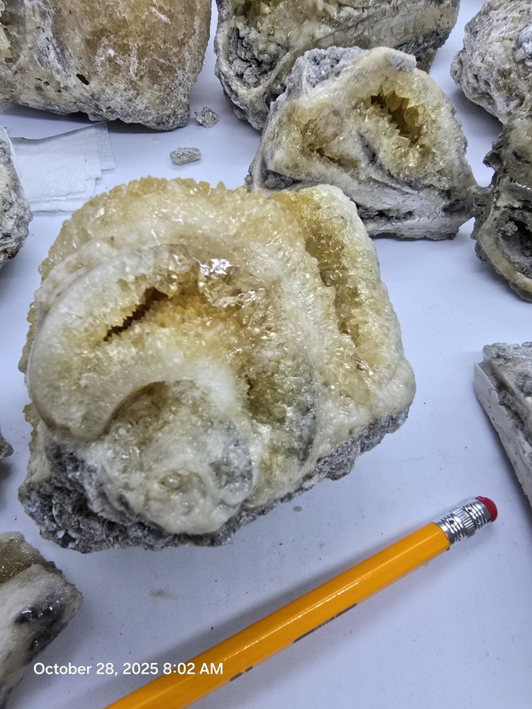 Crystal Shell Calcite Filled 1 million Yr+ Phosphorescent