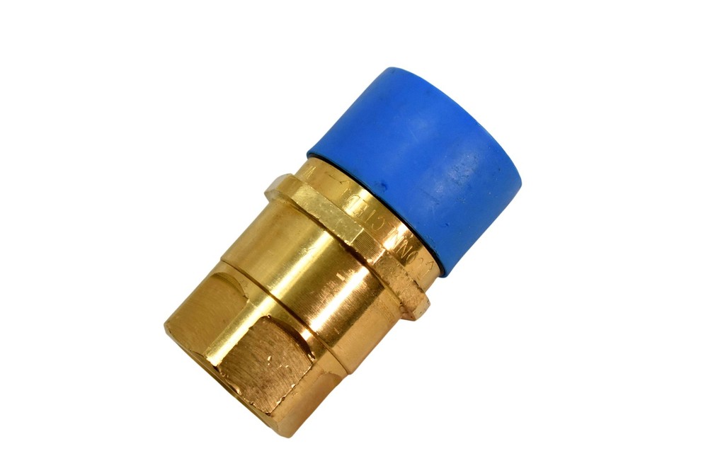 Dixon W6F6-B Brass Inline Check Valve 1-1/2" Female Threaded Hex Fitting