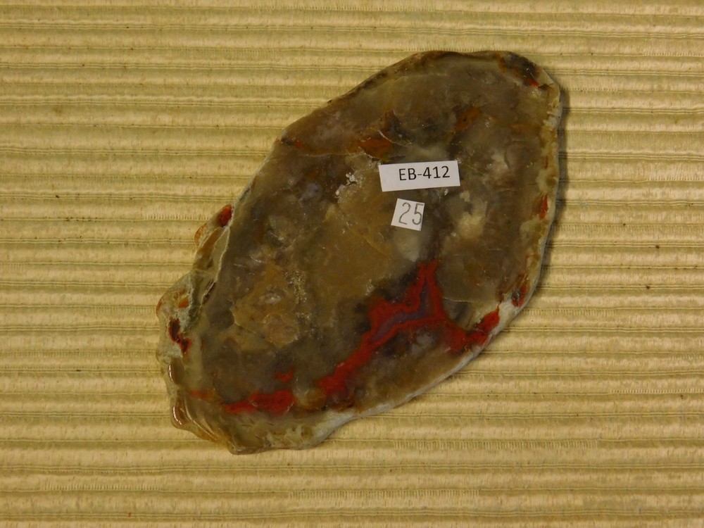 Coprolite Polished Slab for Cabs