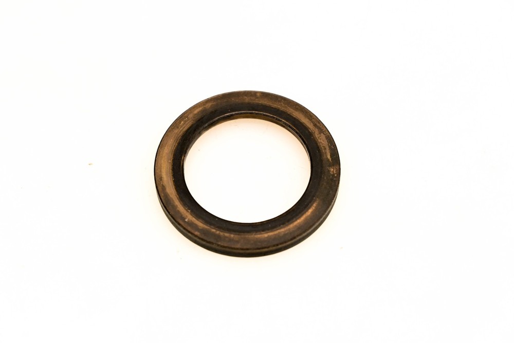 OMC 304697 Thrust Washer
