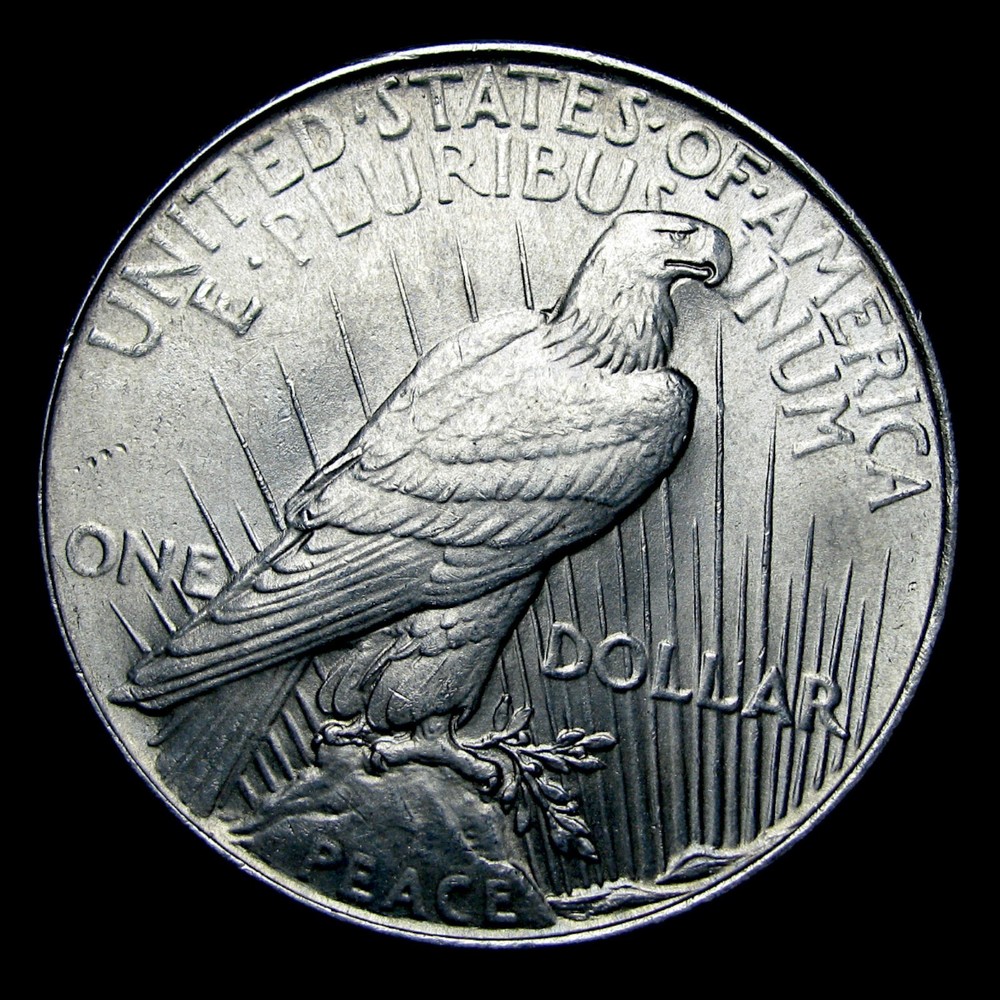 1934 Peace Dollar Silver ---- Unc Stunning Coin ---- #PP265