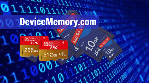 DeviceMemory.com * Domain Name Internet Property * Flash * USB Drives * SD Cards