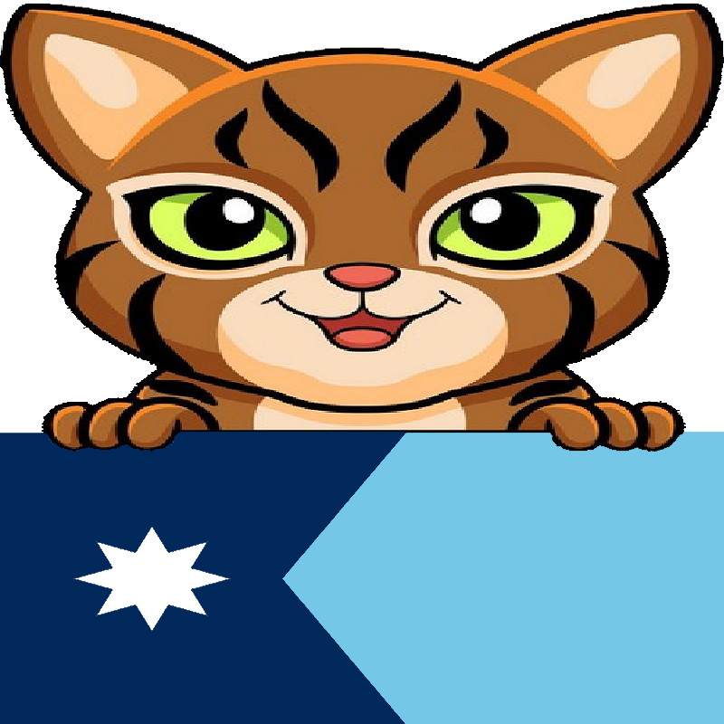 30 Custom Minnesota Flag Brown Cat Personalized Address Labels