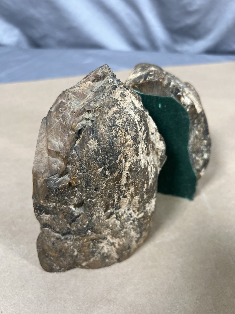 Petrified Wood Bookend Pair with felt padding