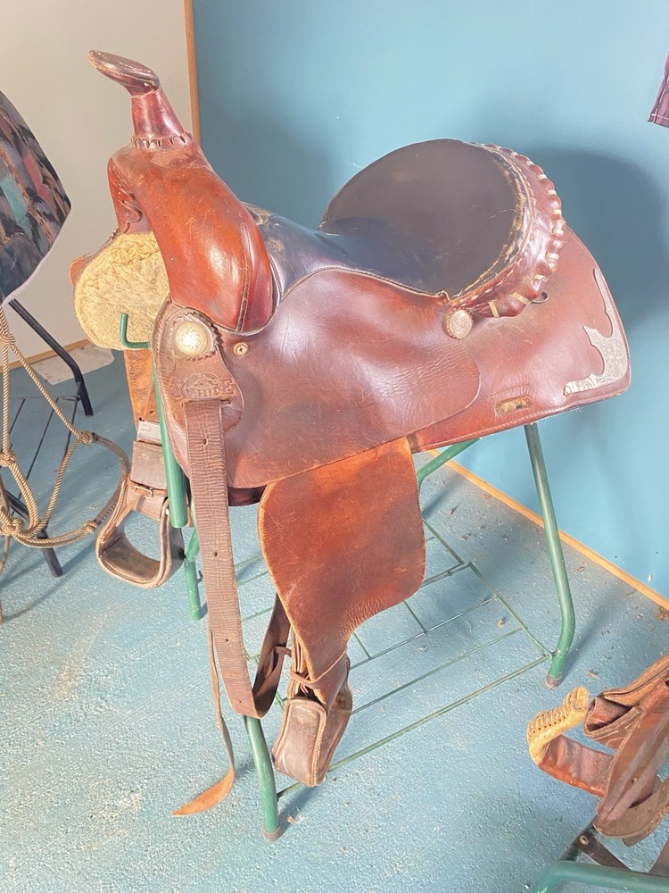 Brown Saddle. Kids