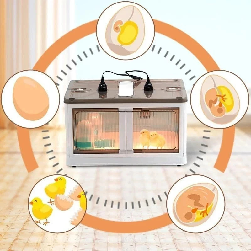 Brooder Box for Chicks Quail Brooder Box with Thermostat Poultry Heater