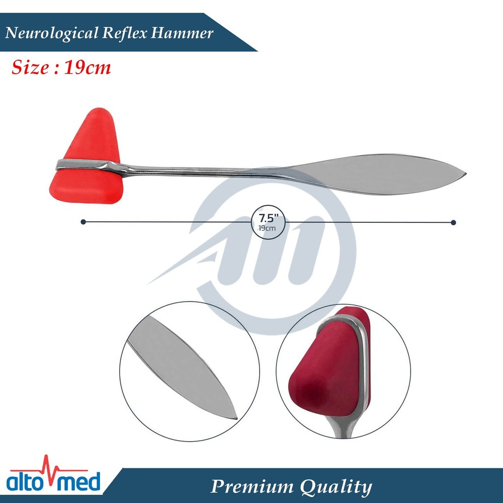 Neurological Diagnostic Examination Taylor Percussion Reflex Buck Hammers Lab