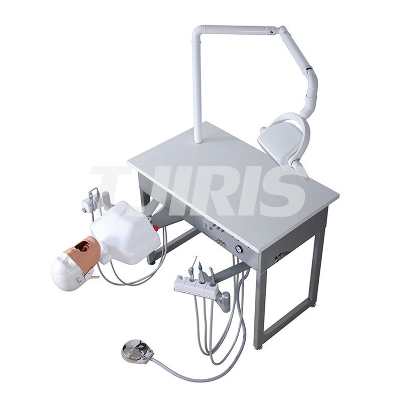 Dental Practice Simulator System Teaching Device Patient Manikin Phantom Model
