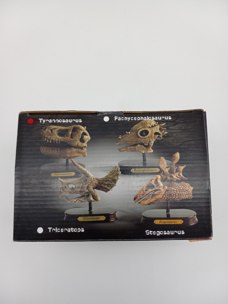 Trex Dinosaur Skull Excavation Kit/Dig Ages 3+