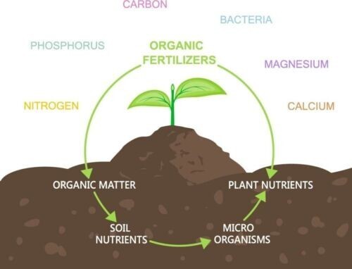 ORGANIC COMPOST HYDROPONIC GROWING MEDIA | COCO COIR COCO PEAT 100% NATURAL