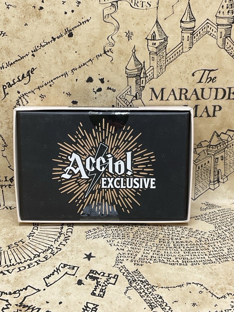 Harry Potter Magical Magnet Set