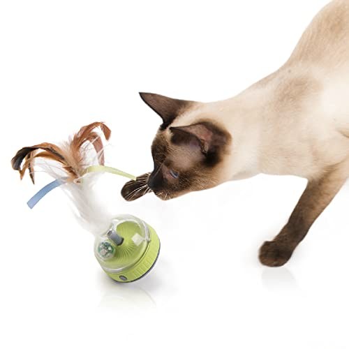 SmartyKat Silly Spinner Electronic Motion & Light Up Cat Toy, Battery Powered