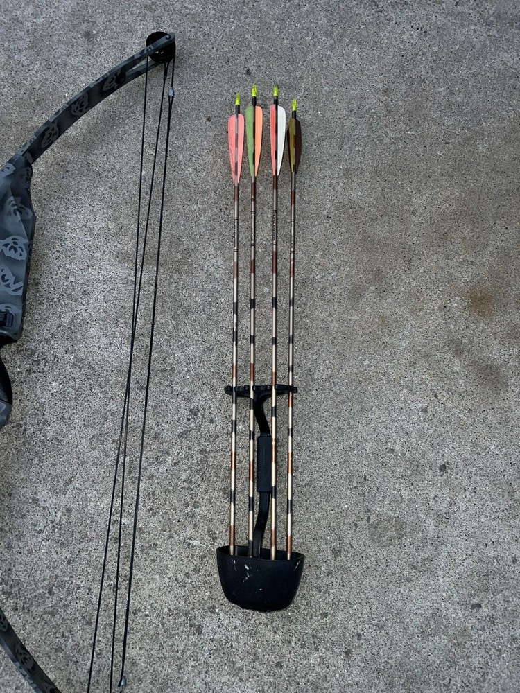 SilverHawk Compound Bow