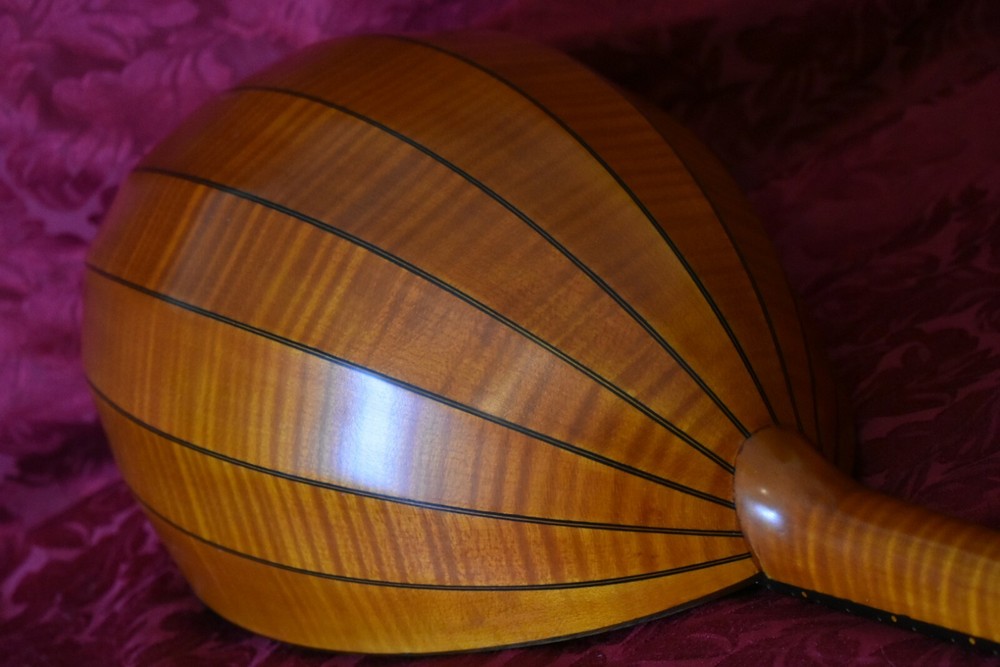 German style mandolin. UNIQUE! 德国风格的曼陀林。独特！ 。