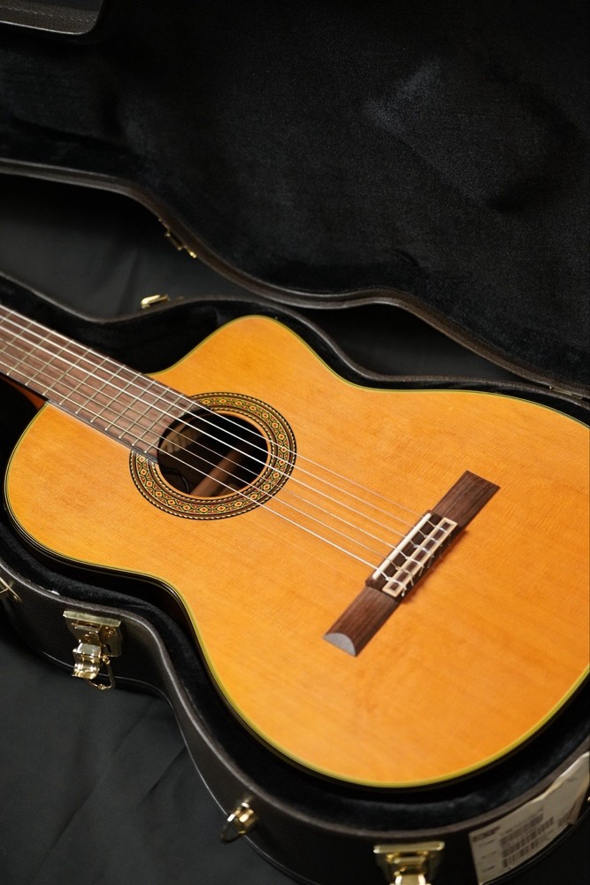 Takamine Classical Nylon String Guitar Model TC132SC