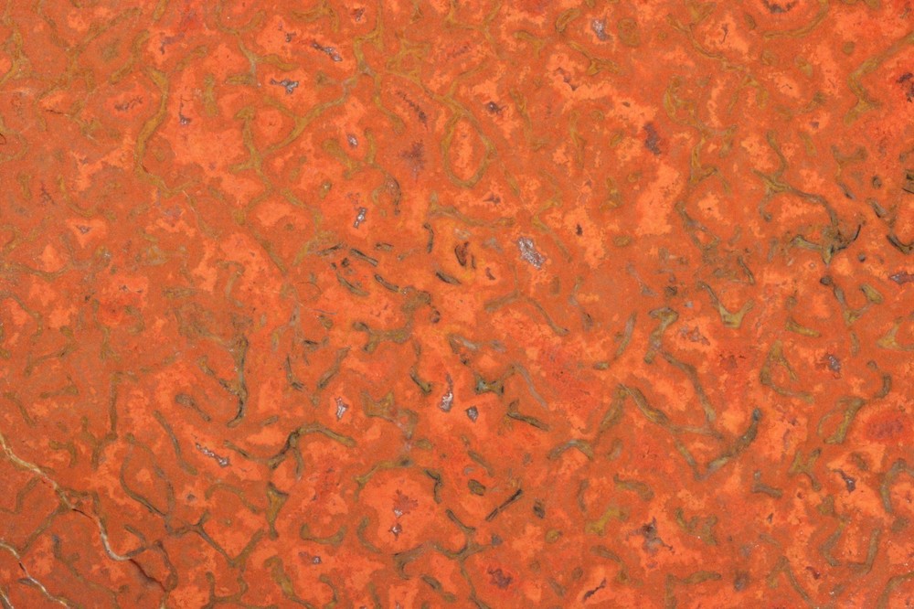 Orange Agatized Dinosaur Bone, New Mexico, 100 grams