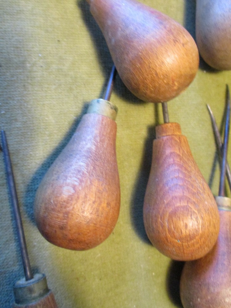 12 x DISECTING AWLS, VINTAGE {BIOLOGY}