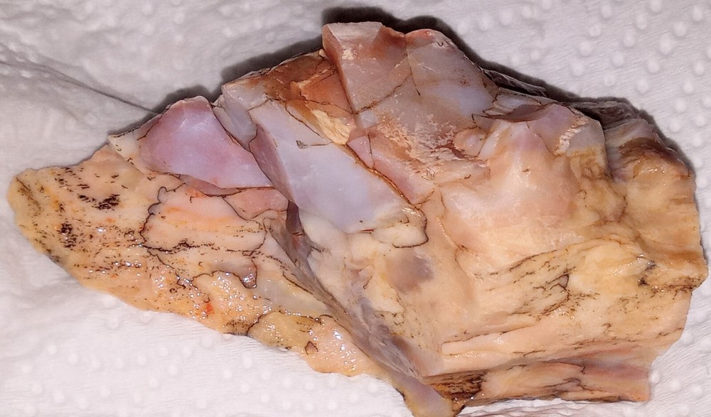 Petrified Rainbow Wood Rough AZ