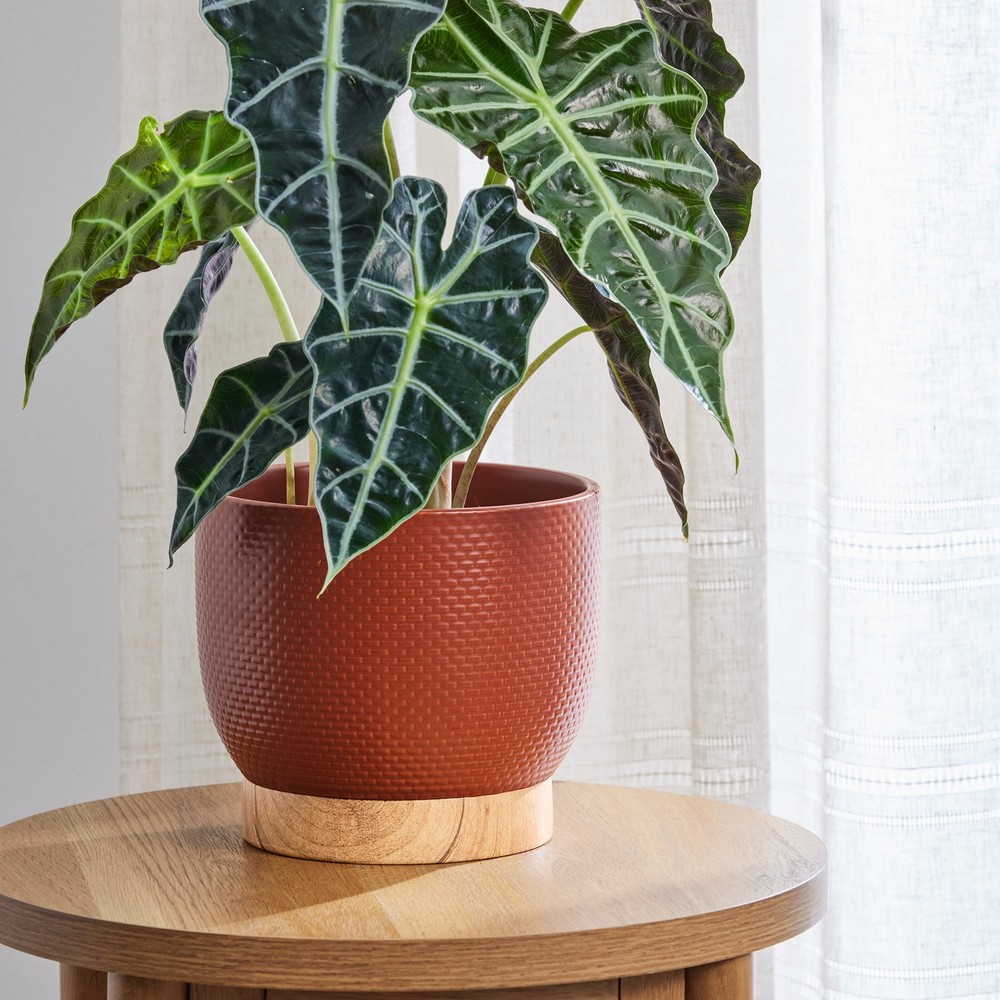8 Inch Woven Red Ceramic Planter Pot