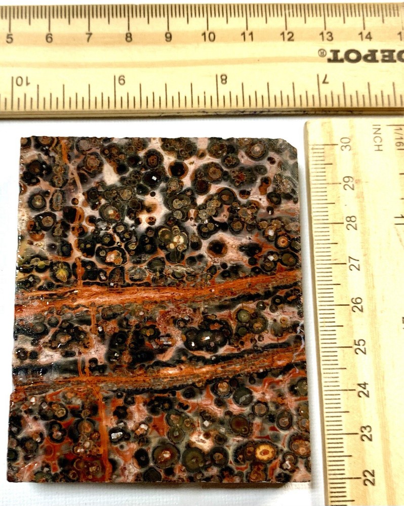 leopard skin jasper slab