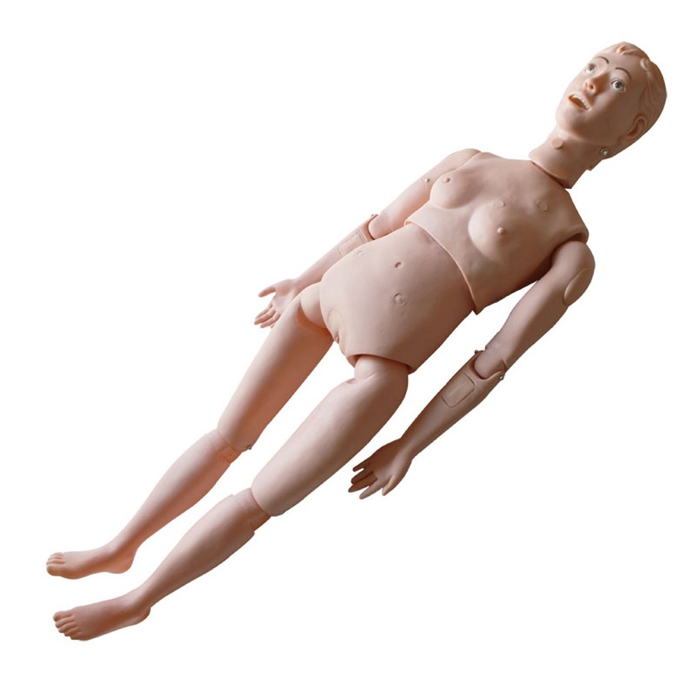 Woman Teach Model Study Training Patient Care Human Manikin Nurse Training Model