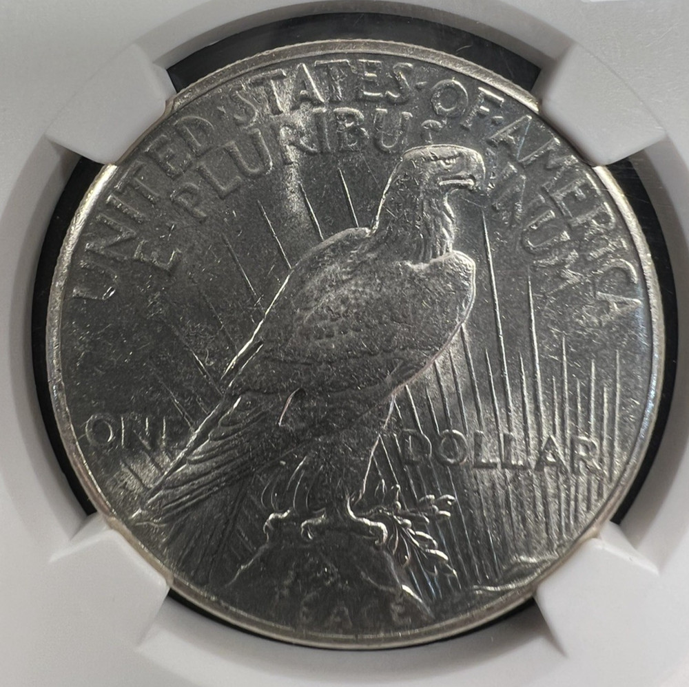 1928 $1 Silver Peace Dollar NGC MS60 REVERSE STRUCK THRU ERROR!!!! AWESOME COIN!